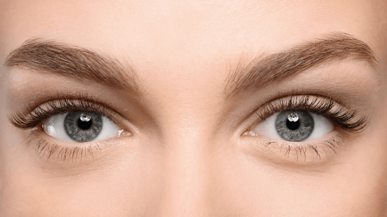 Lash Lift and Tint Course Online